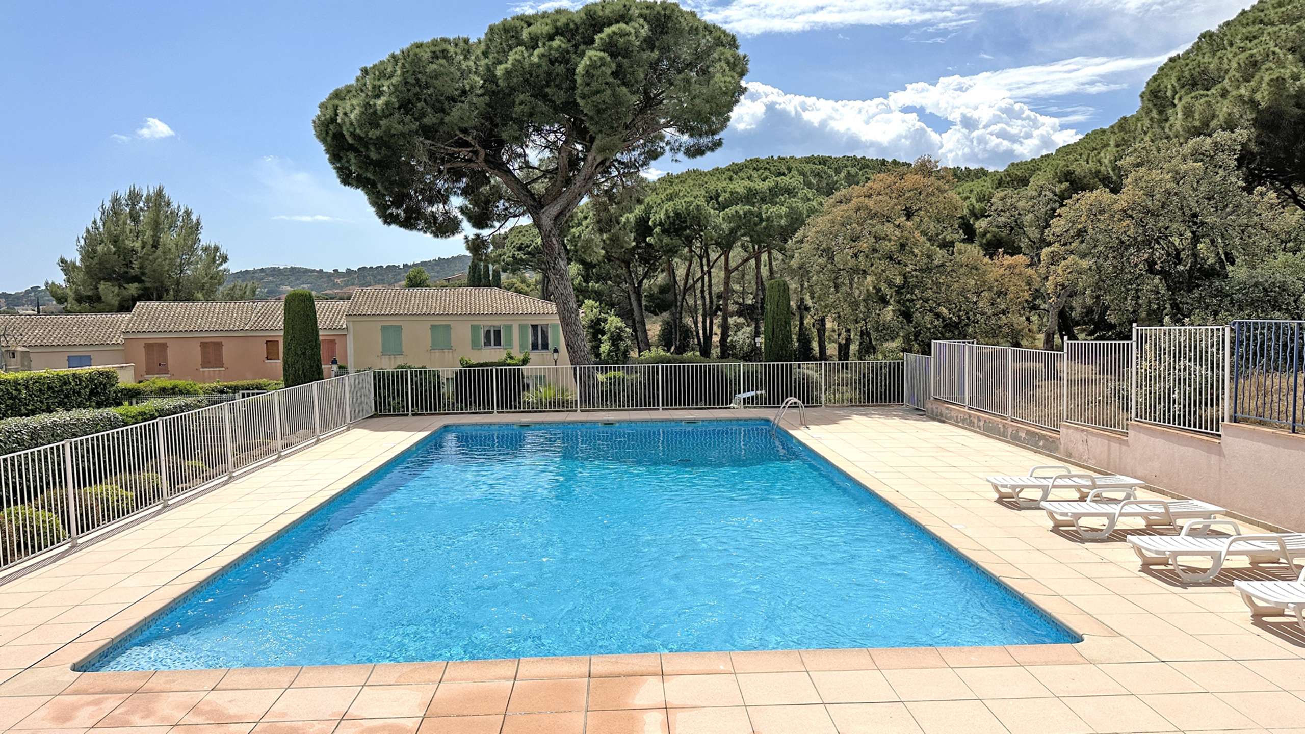 Les Pins Bleus ( )